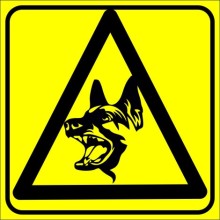 Dikkat Köpek Var Sarı Zemin Uyarı Tabelası - Sticker