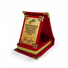 Kişiye Özel Canım Öğretmenim 5 Temalı Mini Kırmızı Plaket