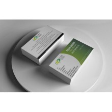 Peyzaj Çift Taraf Tasarım Kartvizit - Köşeli Kesim