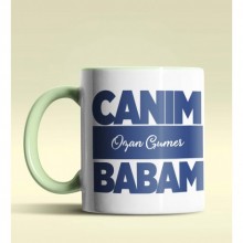 Kişiye Özel Canım Babam 6 Tasarımlı Yeşil Kupa Bardak