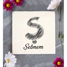 Kişiye Özel Ş Harfi Romantik Tasarım Doğal Taş Bardak Altlığı